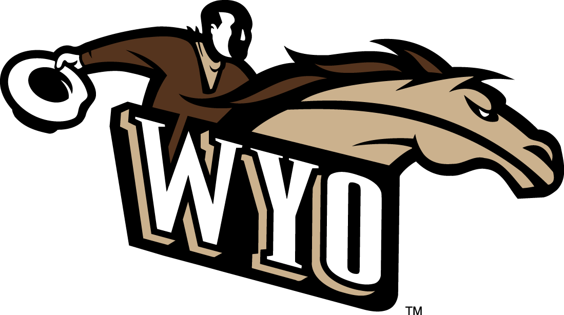 Wyoming Cowboys 1997-2006 Alternate Logo v2 iron on transfers for clothing